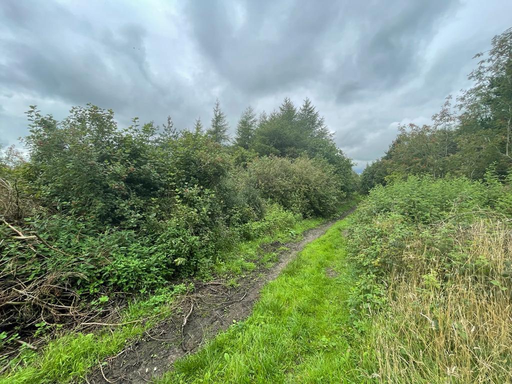 Buxton New Road, Macclesfield Forest, Macclesfield Land for sale £200,000