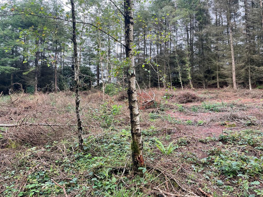 Buxton New Road, Macclesfield Forest, Macclesfield Land for sale £200,000