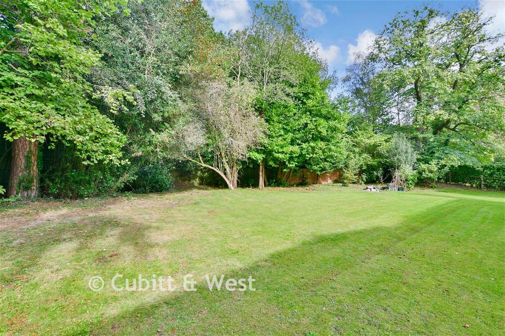 Rear Garden 2026