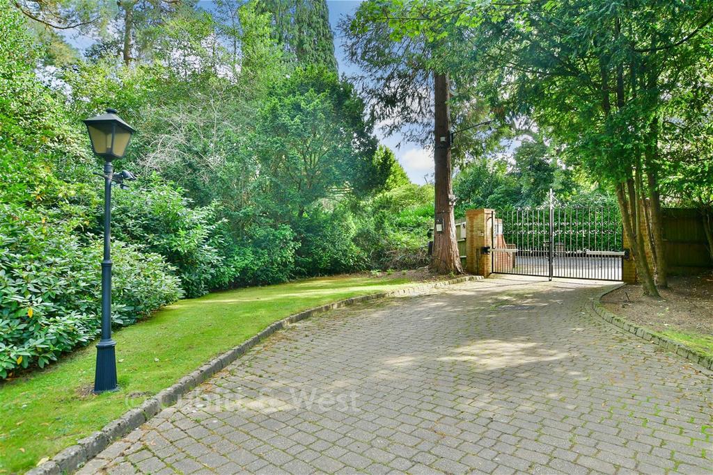 External Feature 2026