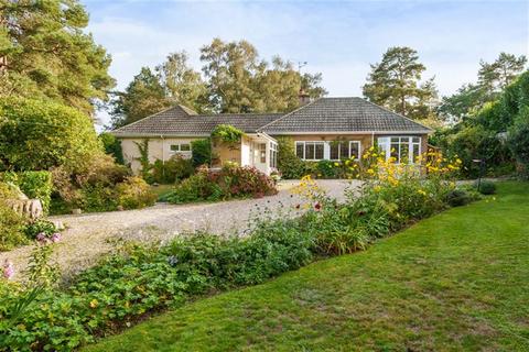 Little Fairseat Georges Lane, Storrington, Pulborough, RH20 3JH