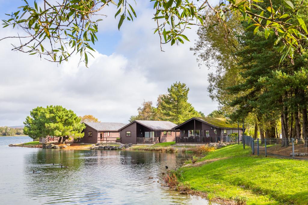 41 Pine Lake