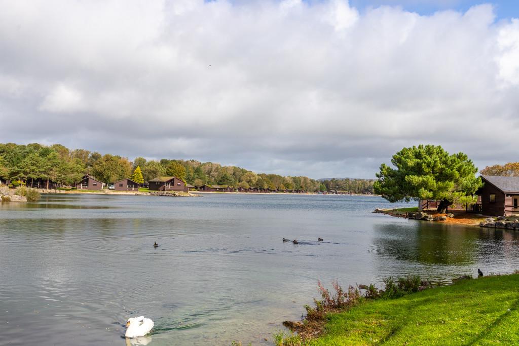 Pine Lake