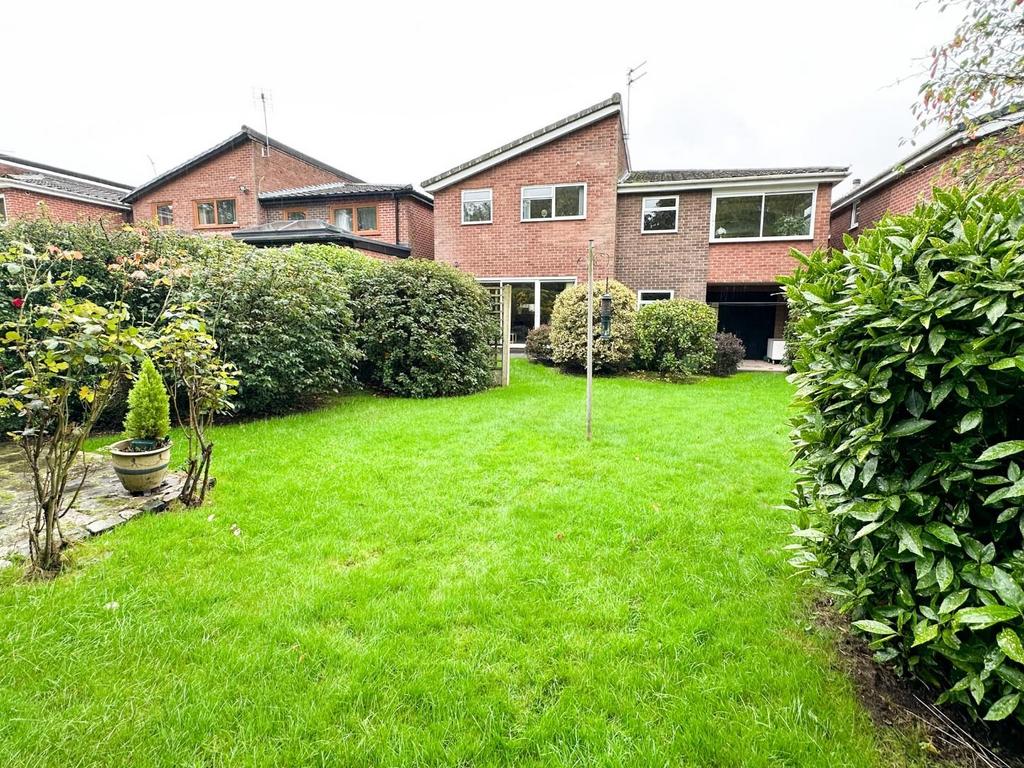 IMG 2448.jpg