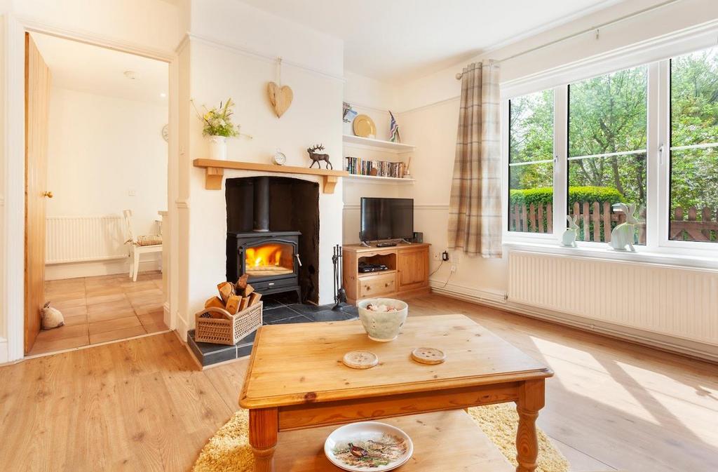 Log burner.jpg