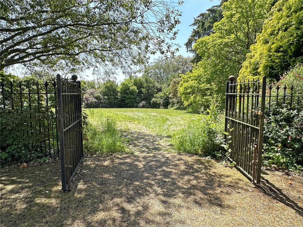 View To Garden