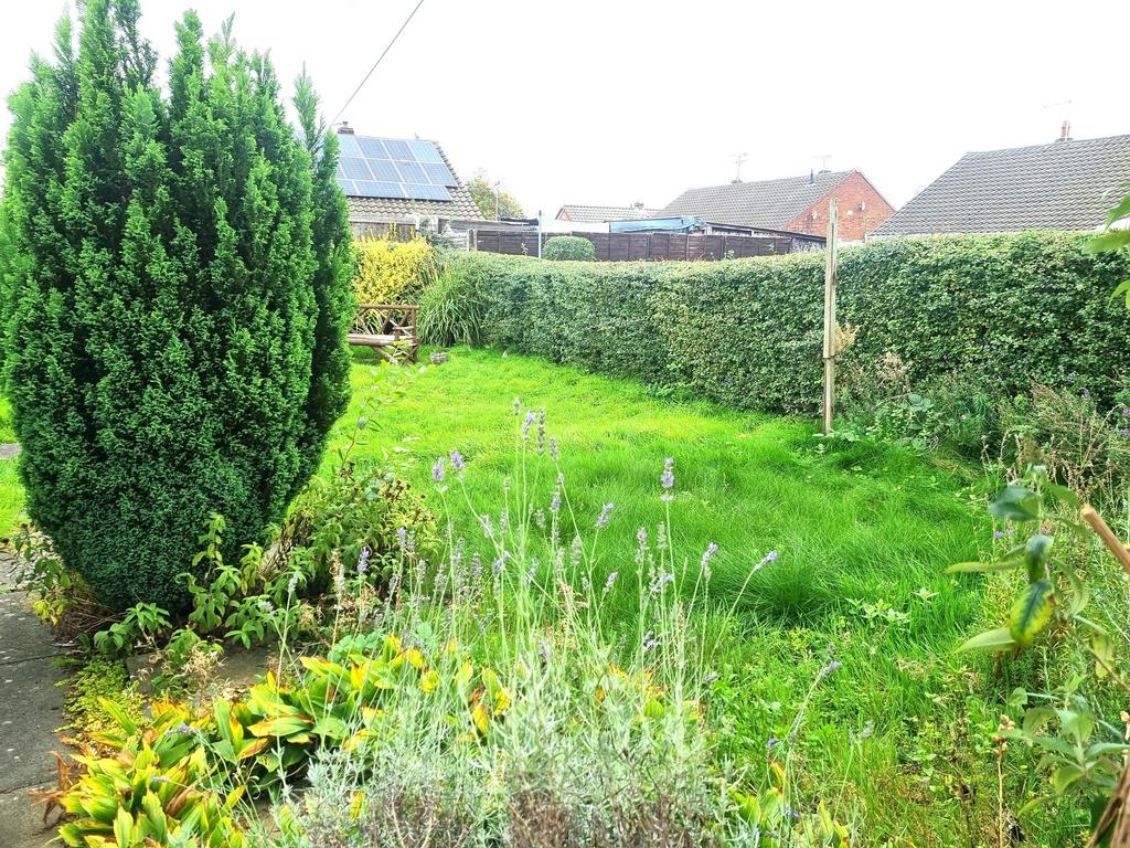 Rear garden 2