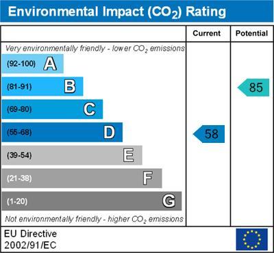 Environmental Impact