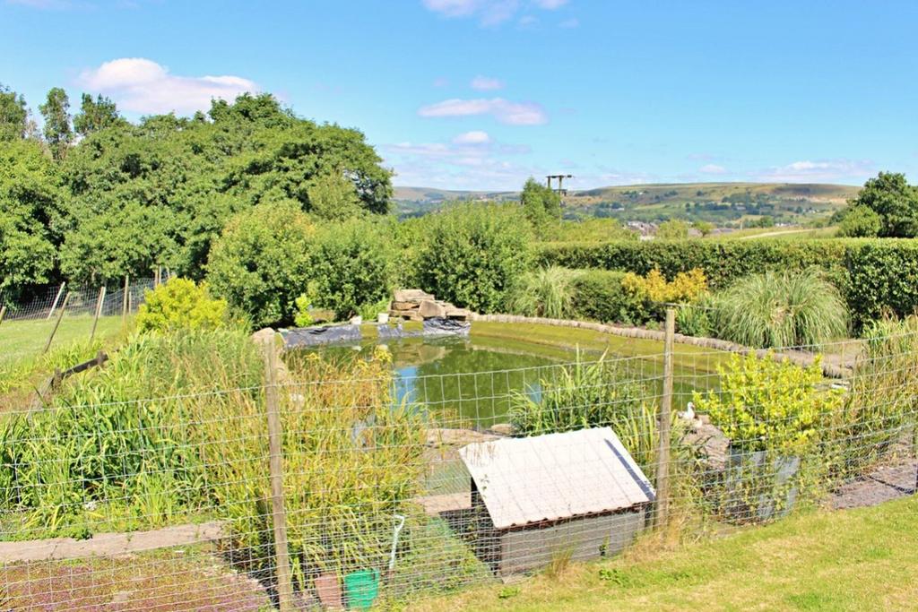 Enclosed Pond and View