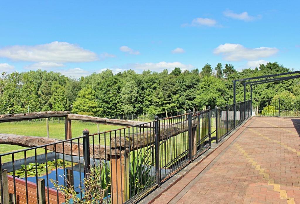 Rear Patio and View