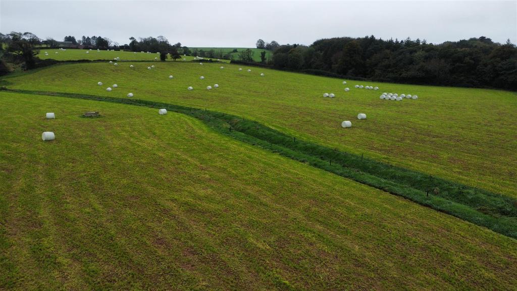 The land: