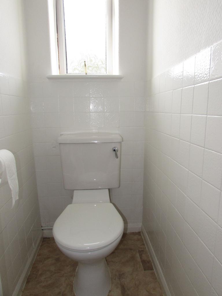 Photograph 5