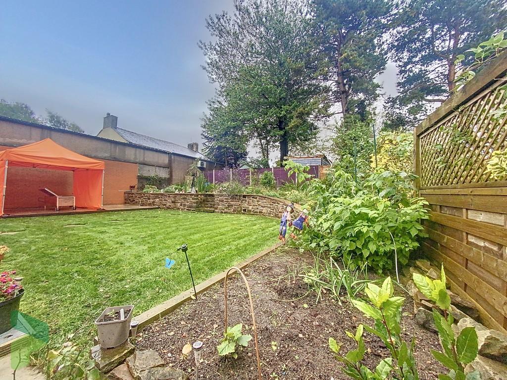 Vegetable Patch and Wall