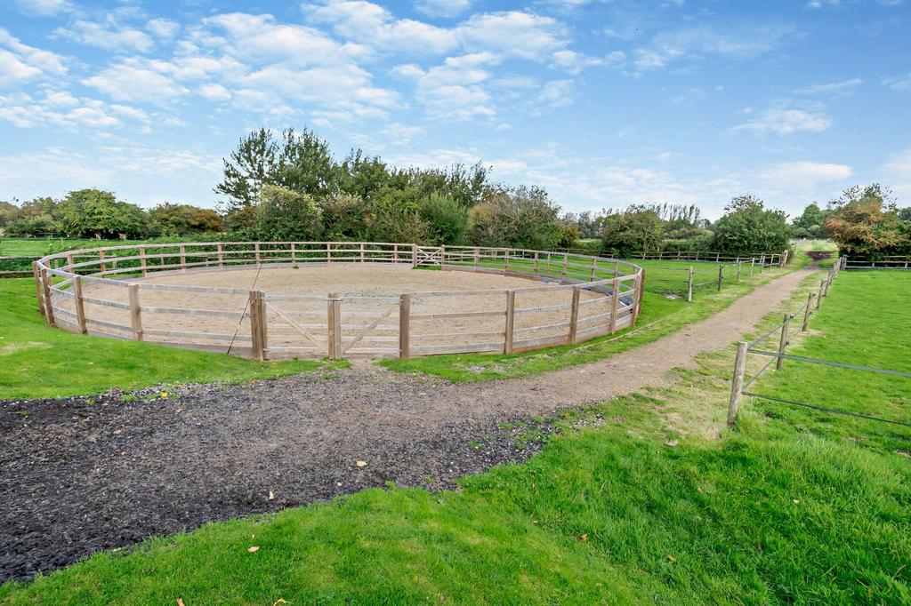 Lunging Arena