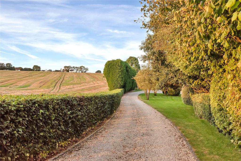 Driveway