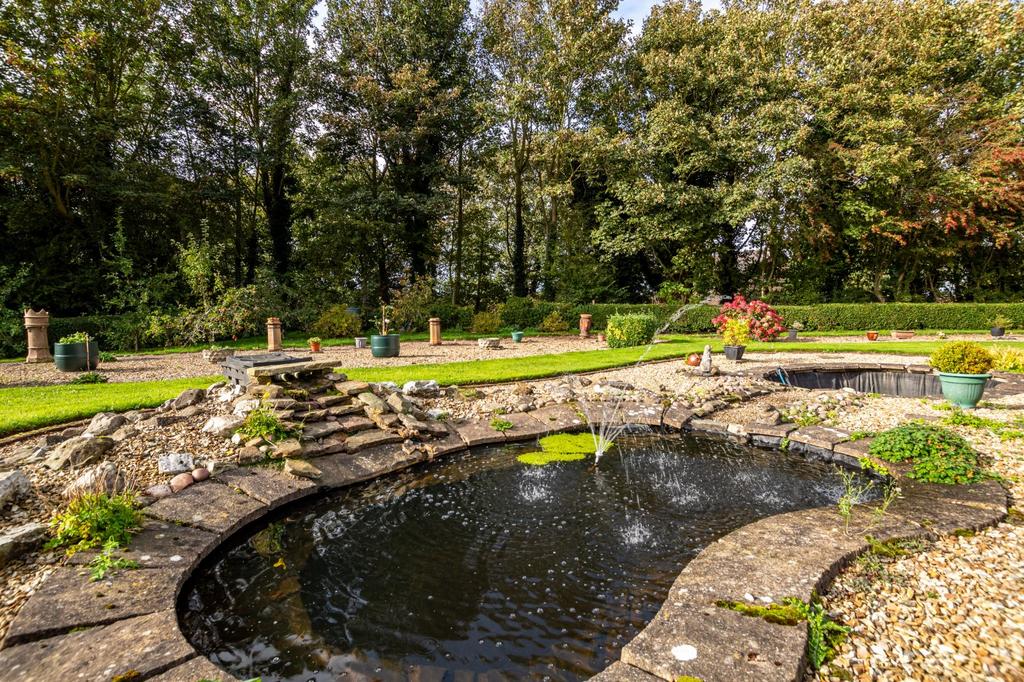 Pond Area