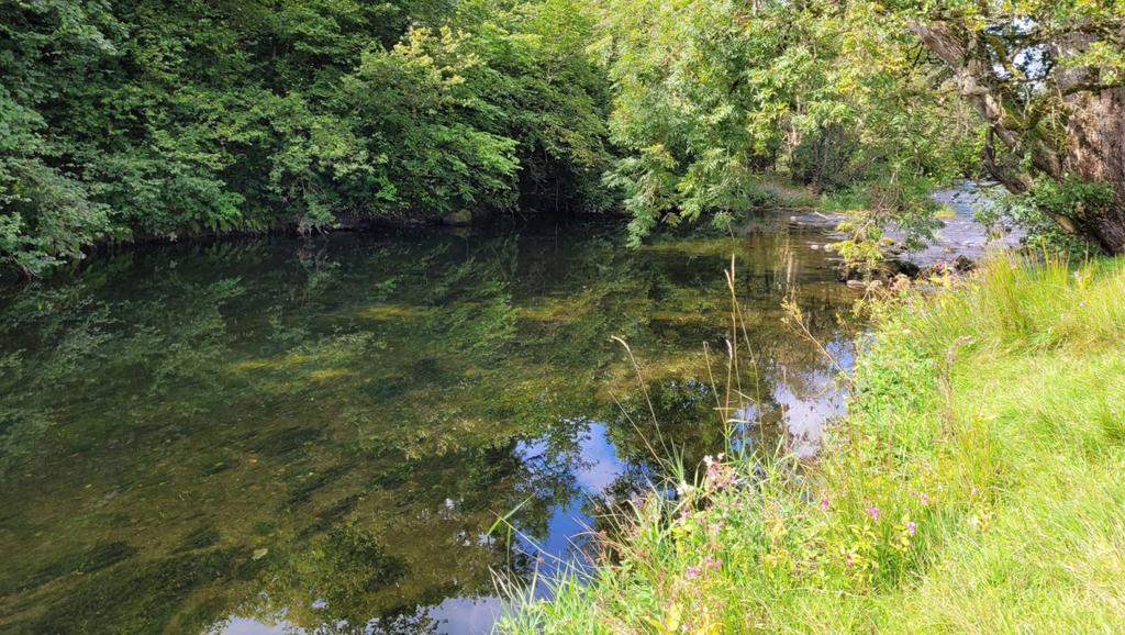 Fishing rights on the River Cocker, CA13 Land for sale £25,000