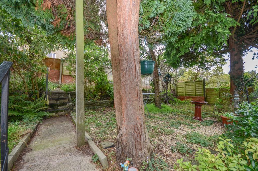 Rear garden.jpg