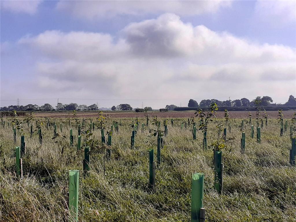 Retford, Nottinghamshire - View 4