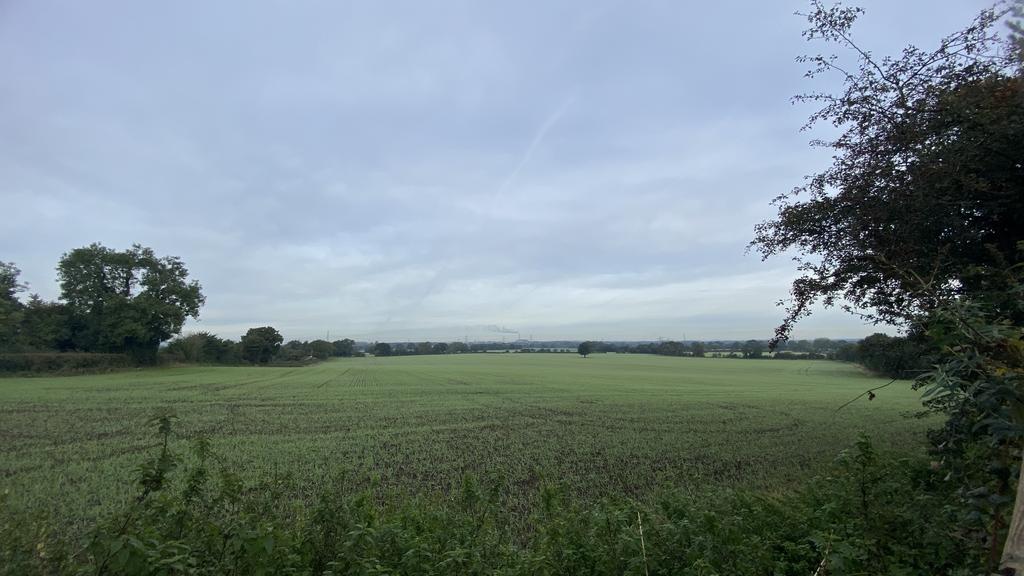 Surrounding Area