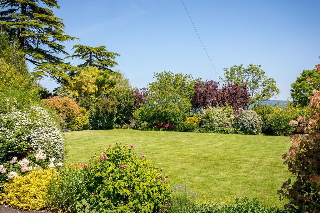 Front garden/lawn