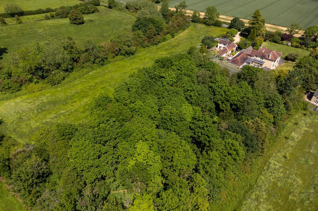 Woodland and paddock