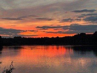 Picture No. 46