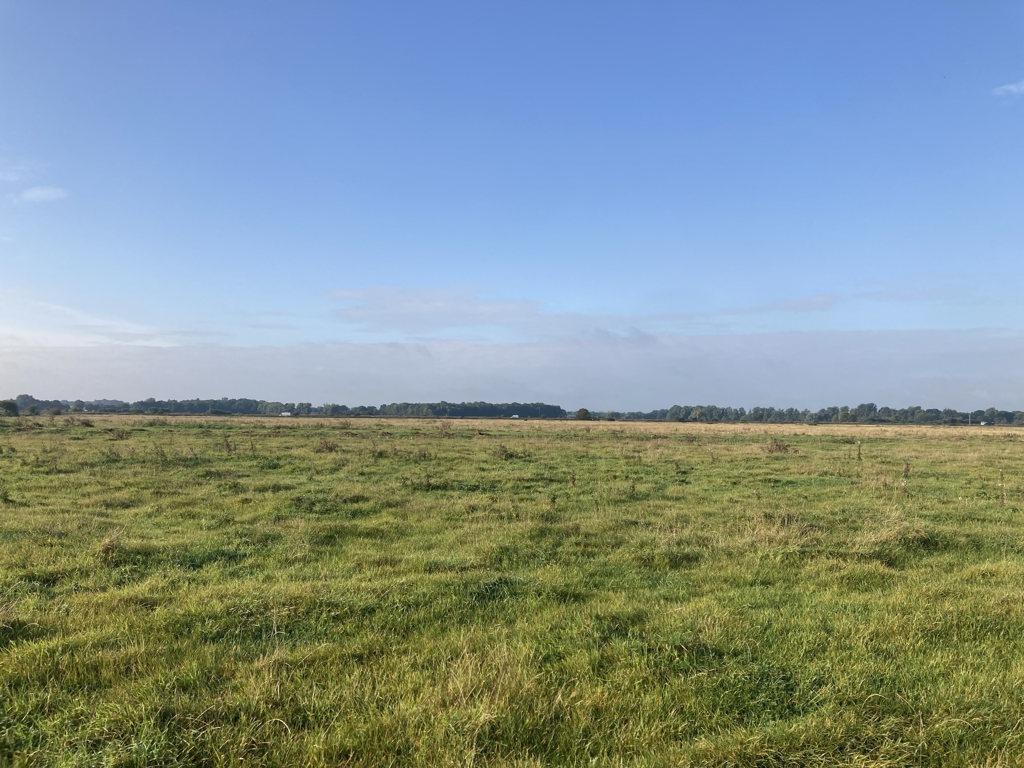 Land Adjacent A47, (Acle Straight)... Farm land £525,000