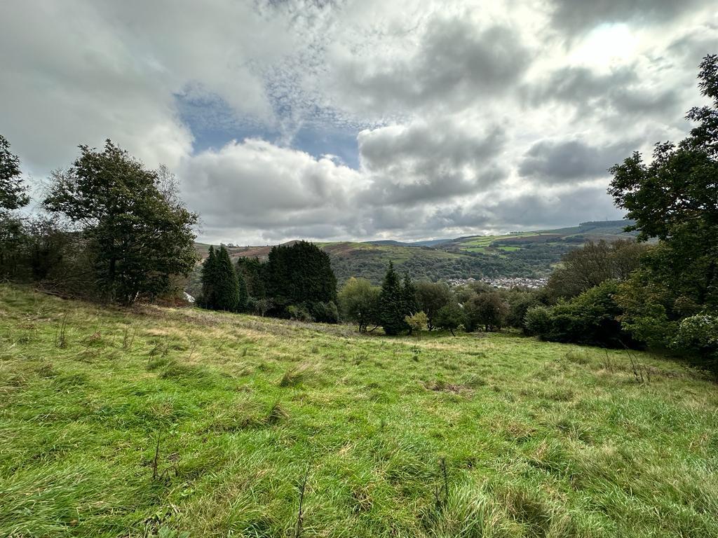 PHOTO-2023-10-12-17-04-16 (10).jpg
