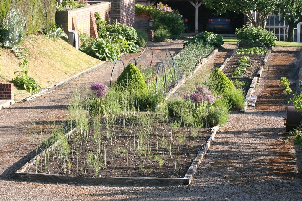 Kitchen Garden