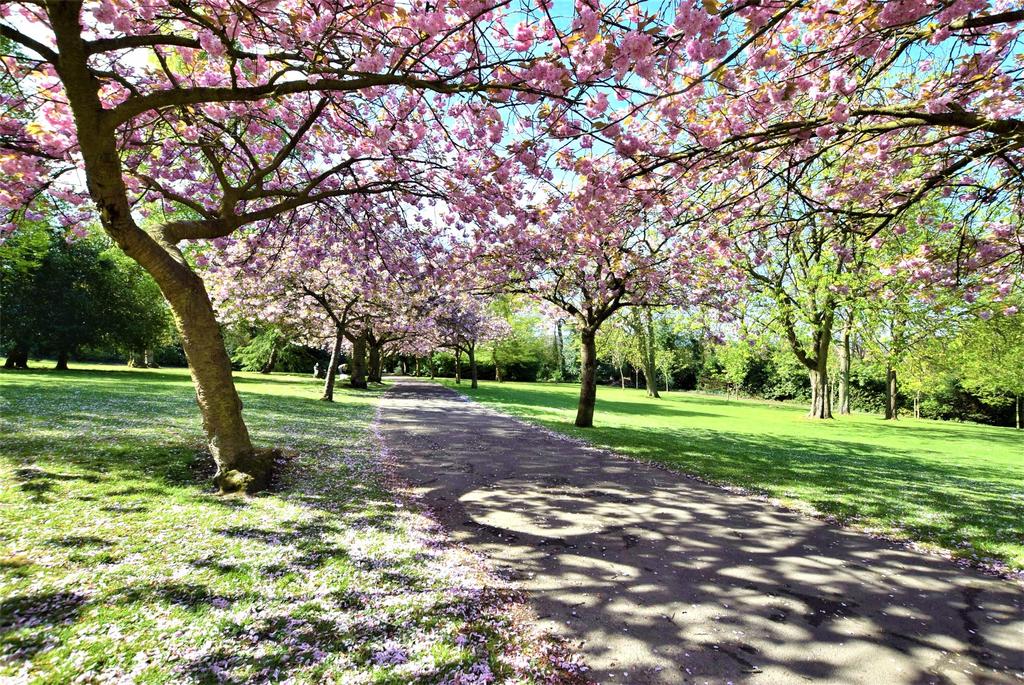 Saltwell Park