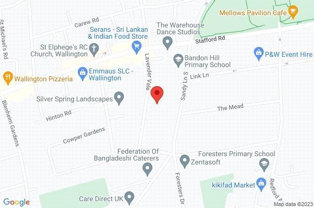 Google Maps Image