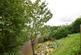 Tiverton, Seddons