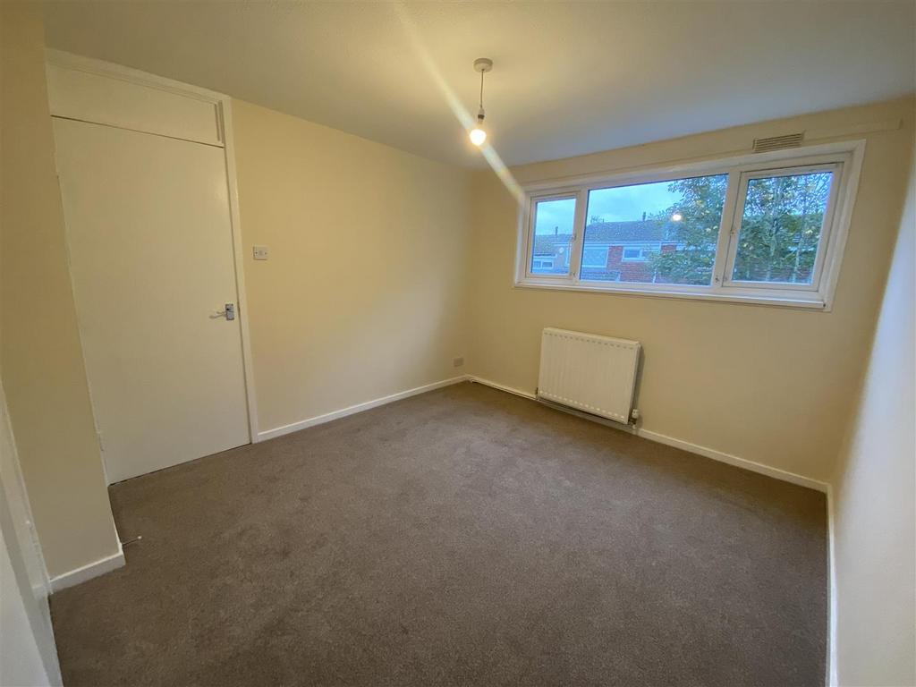 IMG-0478.jpg
