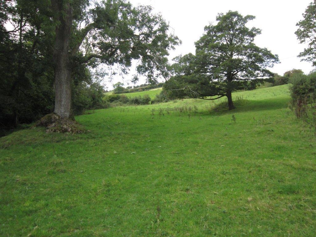 IMG 8763.jpg