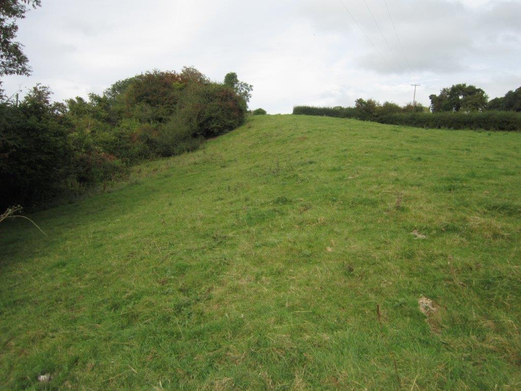 IMG 8753.jpg