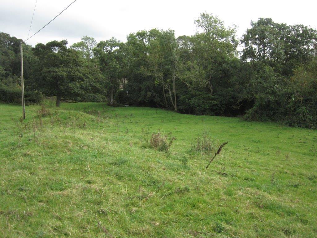 IMG 8754.jpg
