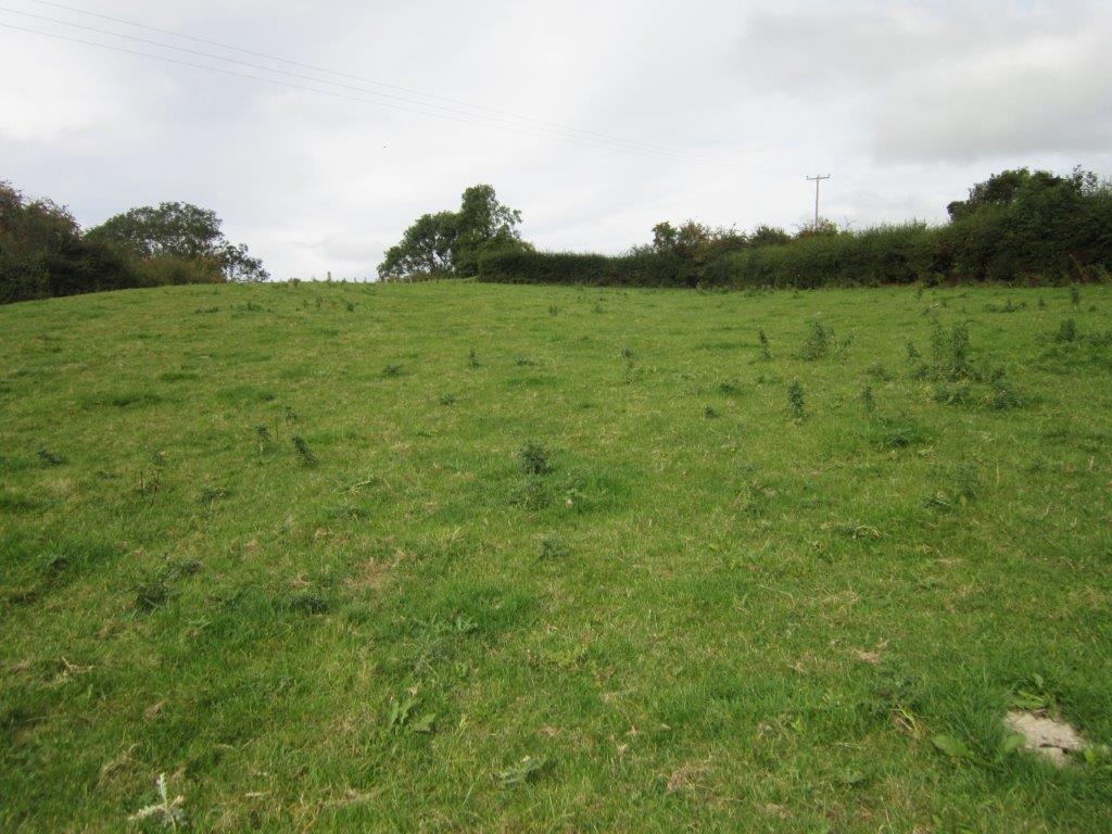 IMG 8755.jpg