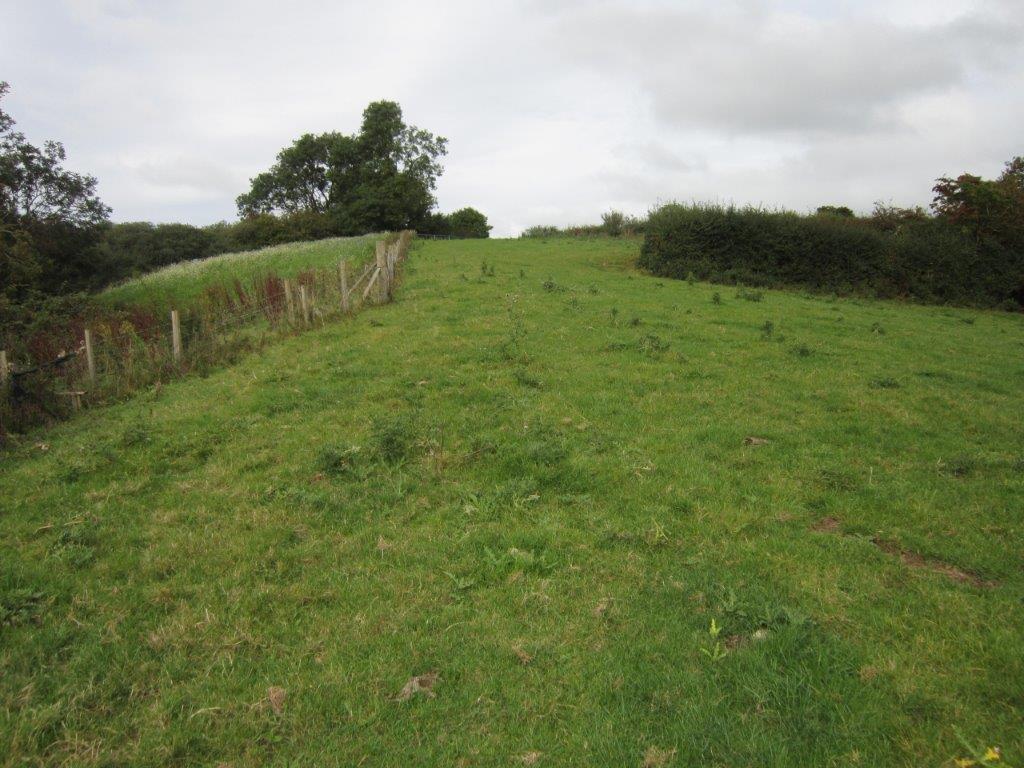 IMG 8756.jpg