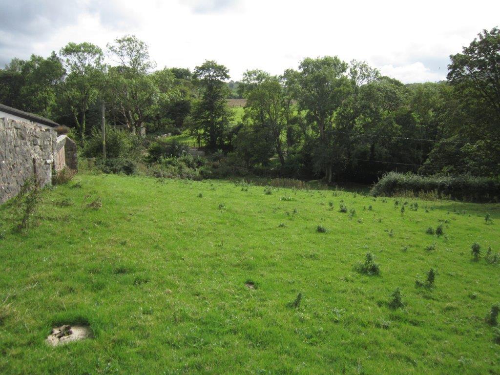 IMG 8760.jpg