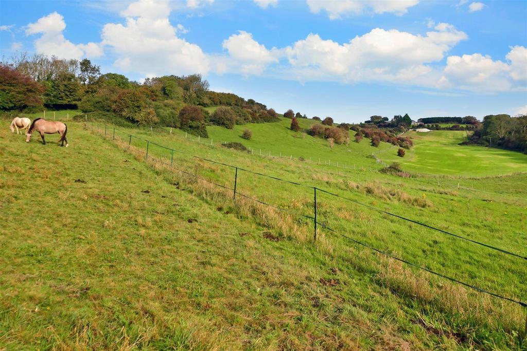 Surrounding Area