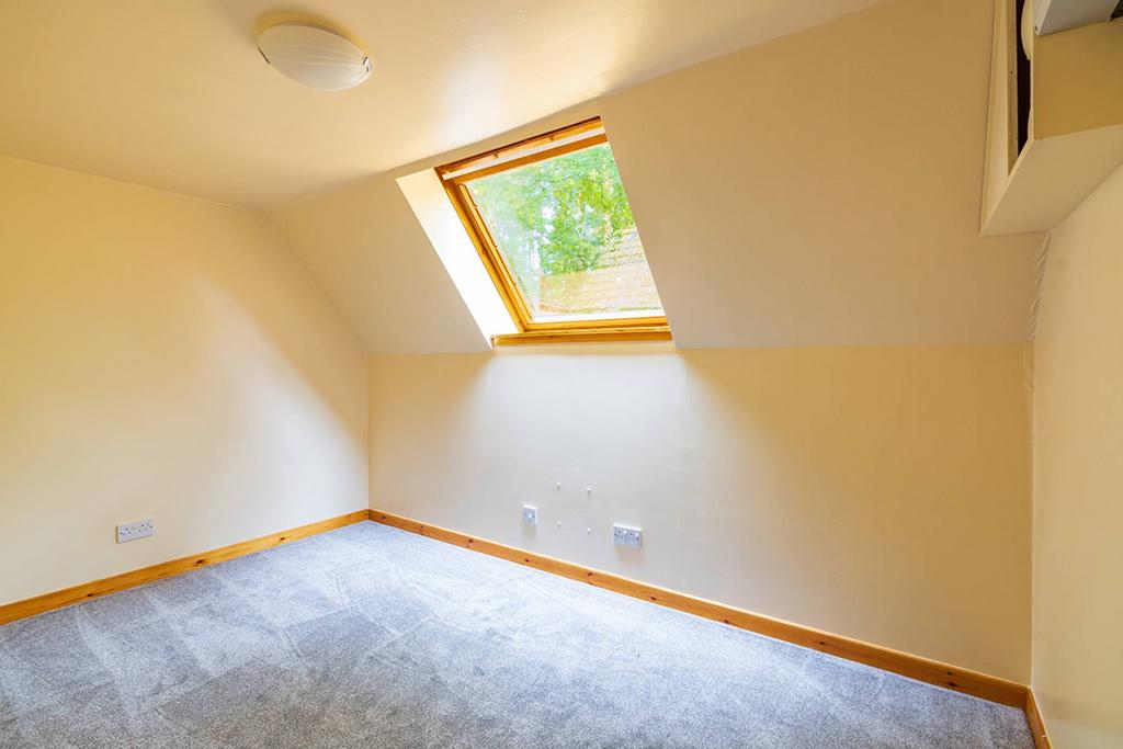 MFL0227569 320.jpg