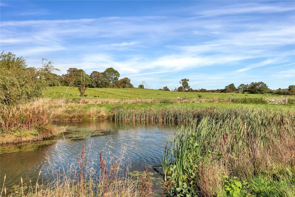 Pond