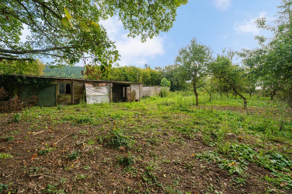 Photos