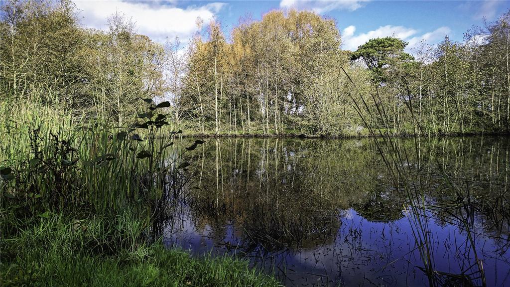 Fishing Lake