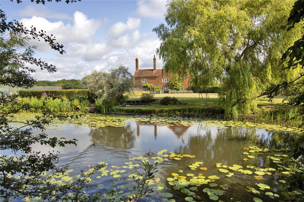 View Over Pond