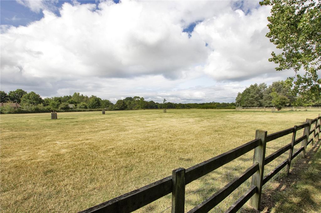 Fields