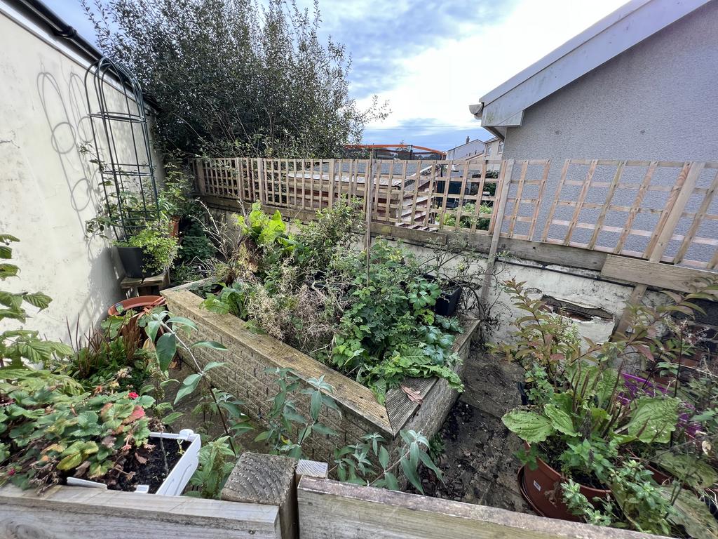 The Grounds