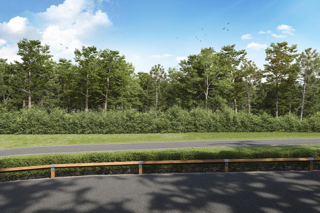 View from plot 260 at Bluebell Meadows