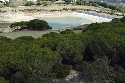 Plot, San Roque, Cadiz